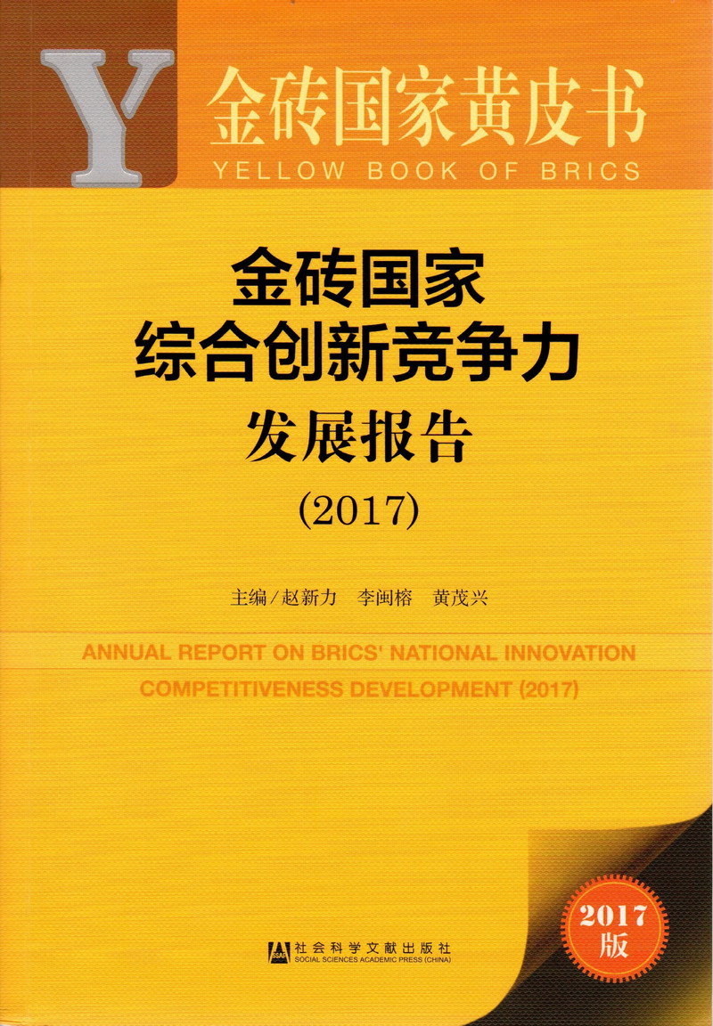 啊哼啊哈别插了双性调教金砖国家综合创新竞争力发展报告（2017）